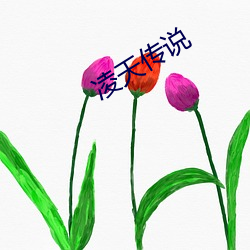 凌(líng)天传说