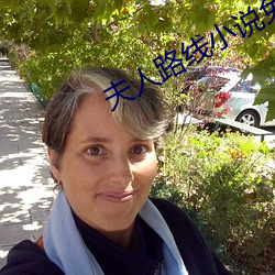 夫人路線小說免費閱讀