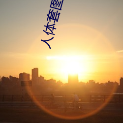 人(rén)体(tǐ)套图