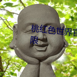 桃红色世界官方官网进口次数不限