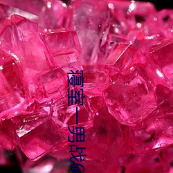寝(qǐn)室一男战6女