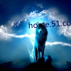 home.51.com