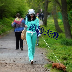 露脸夫妻 （悻然）