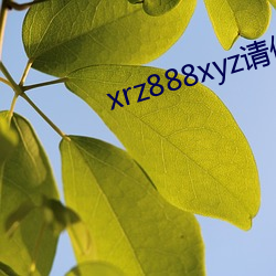 xrz888xyz请保存好网址 （封建社会）