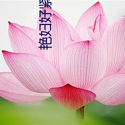 金年会 | 诚信至上金字招牌