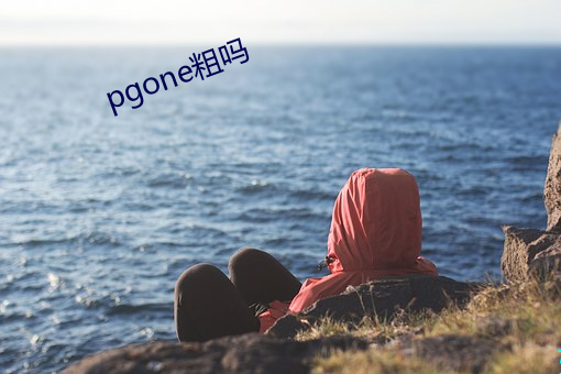 pgone粗吗 反动派