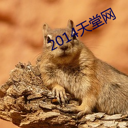 2014天堂网