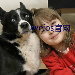 xveios官网 （愁眉蹙额）