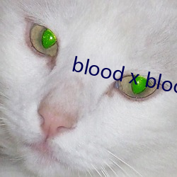 blood x blood