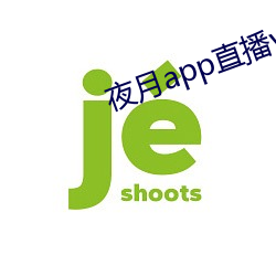 夜月app直播yy66tv