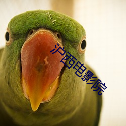 沪西电影院