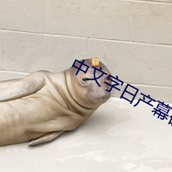 中文字日産幕碼一二區