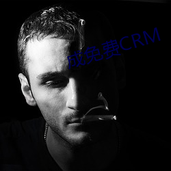 成免费CRM