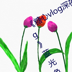 《糖心vlog深夜释(shì)放(fàng)自己视频糖心vlog》蓝(lán)光免费观(guān)看