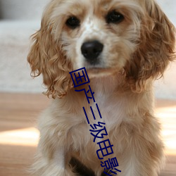 国产三级电影