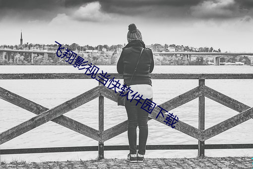 飞(飛)翔影视当快(快)软(軟)件园(園)下载