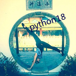 python18