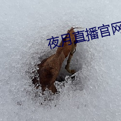 尊龙凯时-人生就是搏!