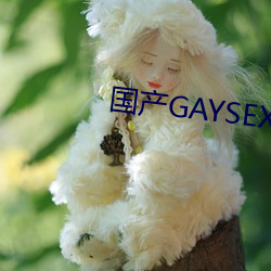 国产GAYSEX （收尾）