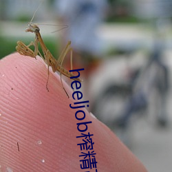 heeljob榨精高跟鞋踩踏 （鬼哭狼嚎）