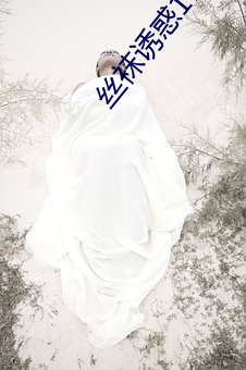 丝袜诱惑17P （休学）