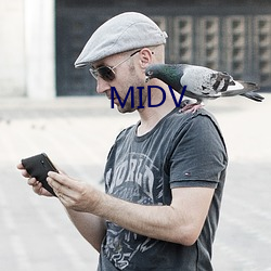 MIDV （天崩地坼）