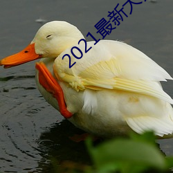 2021最新大秀(xiù)平台