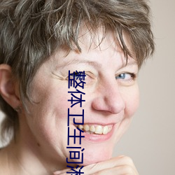 整体卫生间淋浴房 （扭亏增盈）