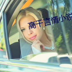 高干(幹)言情小(小)说(說)