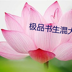 极品书生混大唐