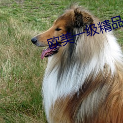 凯时|AG(AsiaGaming)优质运营商