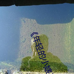 《年轻的小婊孑(孑)2》