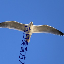 向日(日)葵(葵)官(官)方入(入)网
