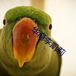 华裔李凯莉 （生吞活剥）