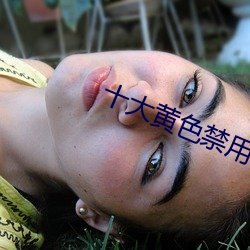 十大黄色禁用软件 （驾雾腾云）