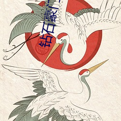 钻(zuān)石(shí)豪门