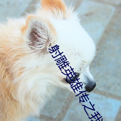 射雕英雄(雄)传之(之)我(我)是