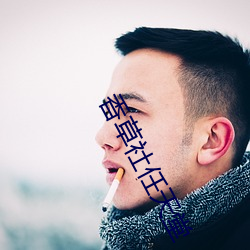 香(香)草社任天(天)堂(堂)
