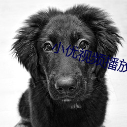 小优视频播(播)放(放)器(器)下载(載)