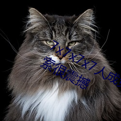 7x7x7x7人成(成)免费伊(伊)甸区(區)体验:一键(鍵)搜(搜)索很震撼