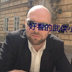 好看的(de)武(wǔ)侠小说