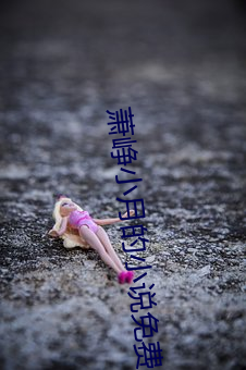萧(蕭)峥(峥)小月的小说免(免)费阅(閱)读