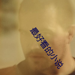 最好看的小说