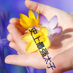 史上最强(qiáng)太子