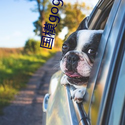 国(國)模gogo中国(國)人(人)体私(私)拍