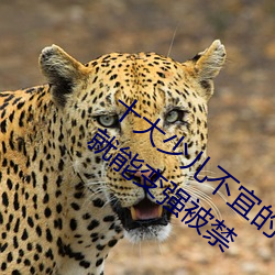 十大少儿不宜的日本动画片 吸女人的乳汁就能变强被禁 （无远弗届）