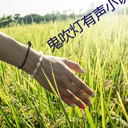 鬼吹(吹)灯有(有)声(聲)小说