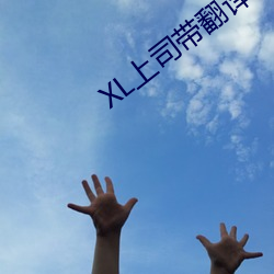 XL上˾(司)()翻(翻)译带()中ӣ(櫻)花动