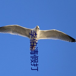 李伯(bó)清(qīng)假(jiǎ)打