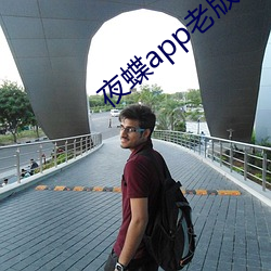 夜蝶app老版本